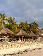 Îi las pe alții să fie experți