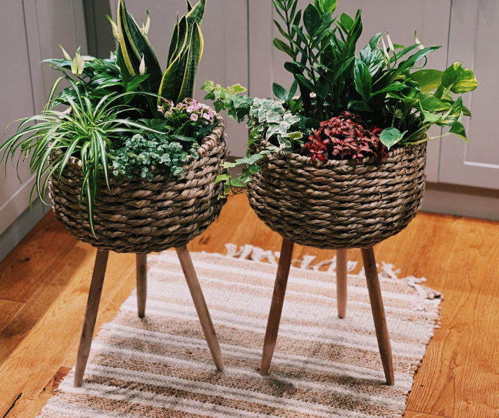 Aranjament de plante verzi – idei practice