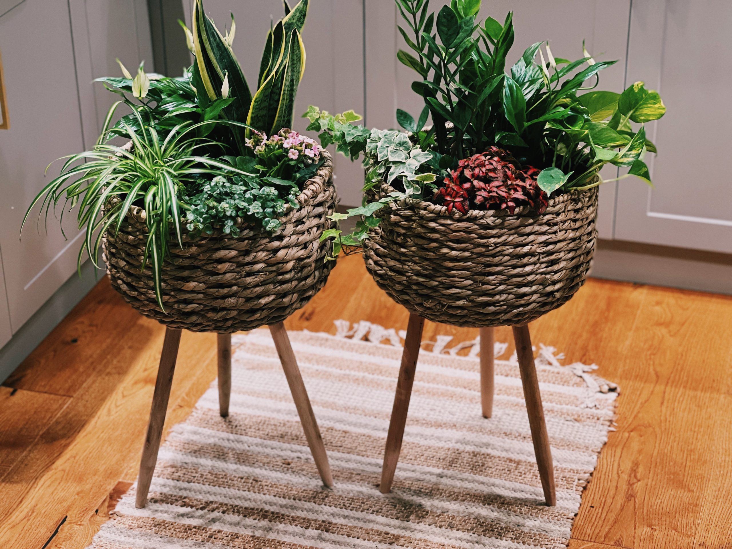 Aranjament de plante verzi – idei practice